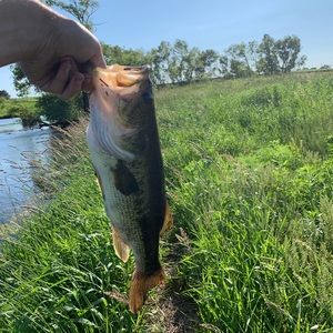 Meet your Posher, Colten